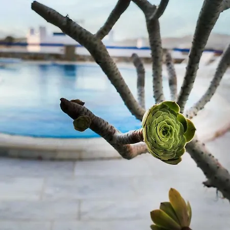 Stunning 4br In Mykonos Villa Ornos (Mykonos)